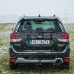 subaru-forester-2023-10