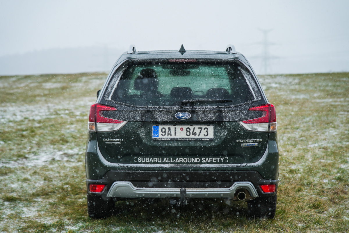 subaru-forester-2023-10