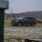 subaru-forester-2023-11
