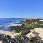 img_20230421_153955