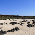 img_20230421_154128