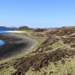 img_20230421_162621