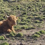 img_20230422_163320