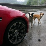 transfagarasan-a-bmw-m3-e92-17