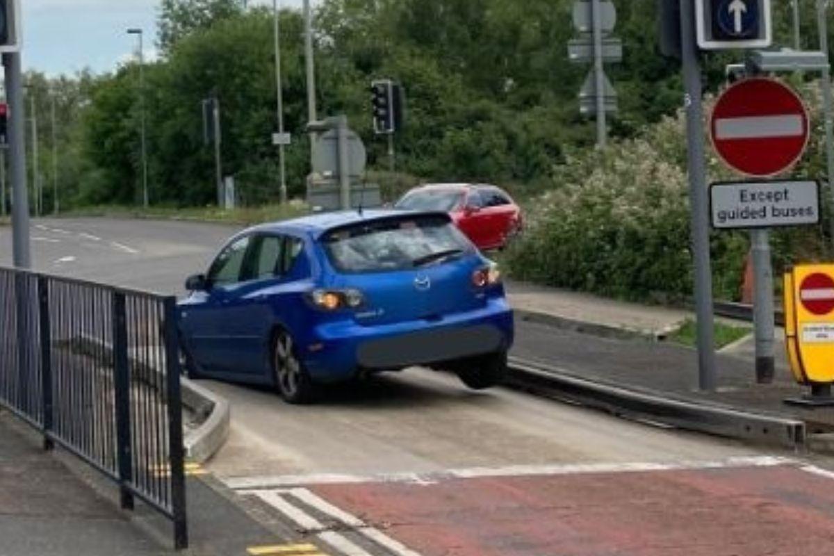 car-trap-motorist-jpg-gallery