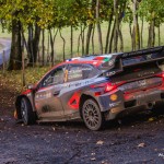 cer-rally-2023-40