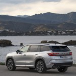 100_skoda_kodiaq_sportline_4a7fa7e1