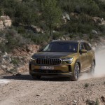 17_skoda_kodiaq_8e1195a1