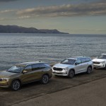 37_skoda_kodiaq_c9b42370