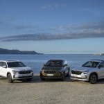 38_skoda_kodiaq_21715b7c