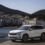 80_skoda_kodiaq_iv_2e4dee04