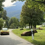 mille-miglia-warm-up-austria-2025-63