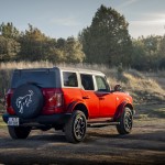 hot_pepper_red_bronco_008