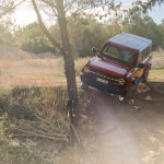 hot_pepper_red_bronco_065