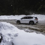volkswagen-tayron-2026-10